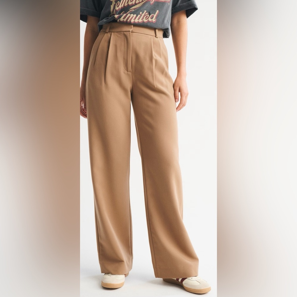 Abercrombie & Fitch Sloane Wide-Leg Trouser/Pants in Brown/Camel Size 28/6R NWT - Picture 2 of 9